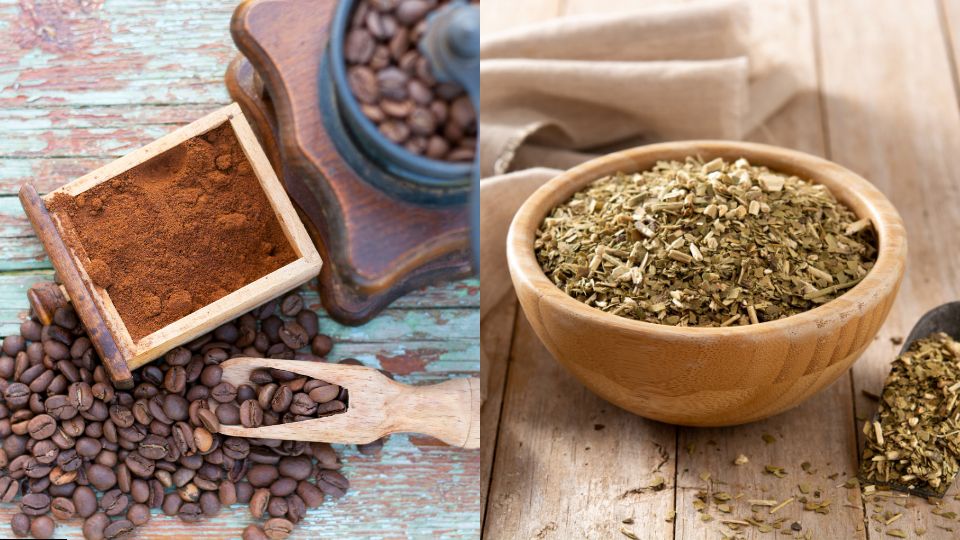 ☕ 5 Reasons to Choose Yerba Mate Instead of Coffee - Teko - Yerba Mate