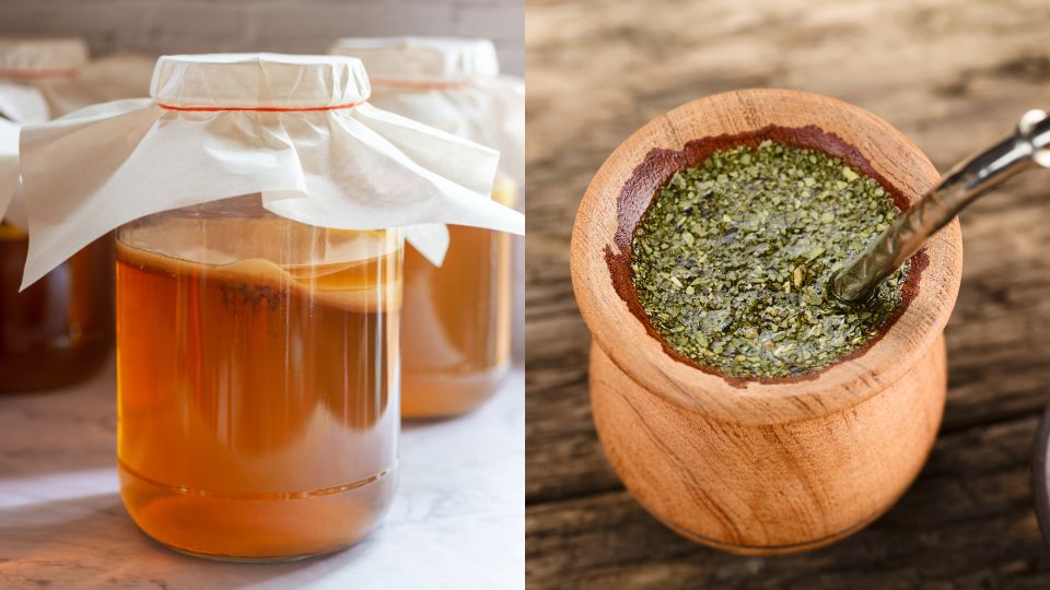 Side-by-side image comparing two wellness drinks: kombucha fermenting in glass jars on the left, and traditional yerba mate in a wooden gourd with a bombilla on the right.