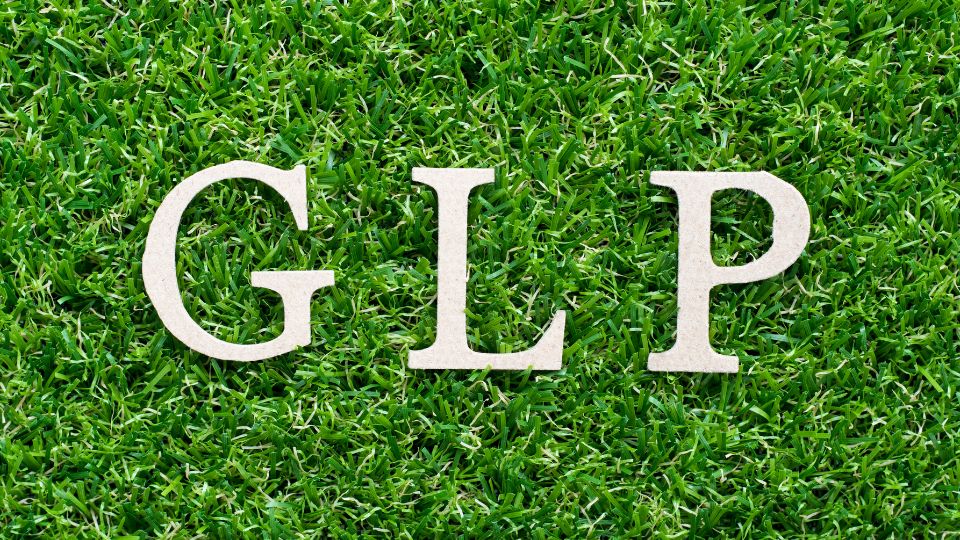 The letters GLP spelled out on vibrant green grass, representing health and wellness