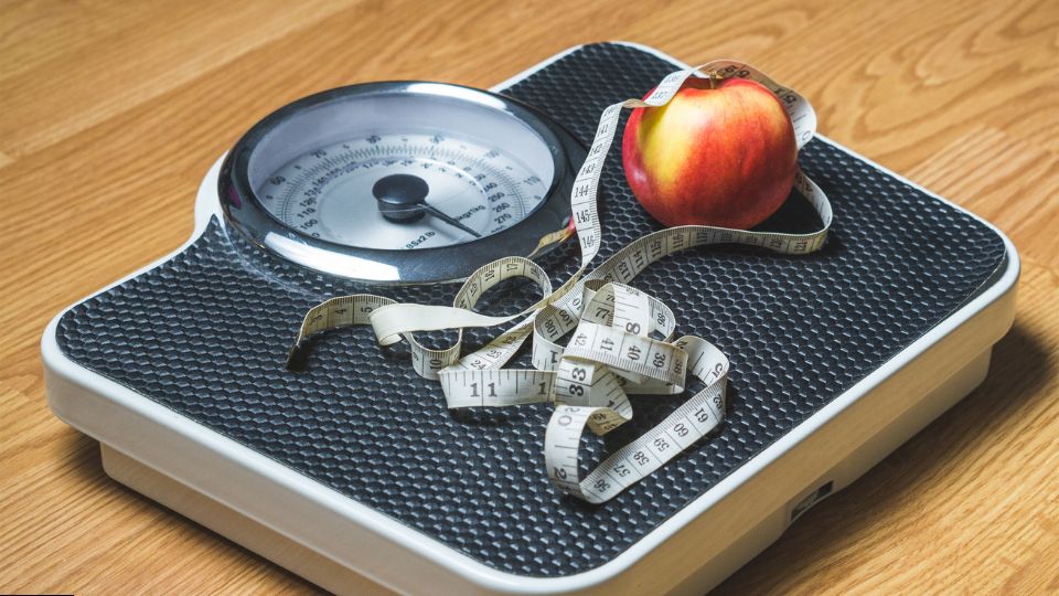 🍃 Can Yerba Mate Help Curb Your Appetite? Here’s What You Need to Know - Teko - Yerba Mate