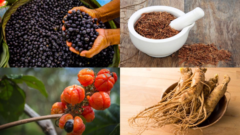 Fuel That Feels Good: The Secret Behind Teko Boost - Teko - Yerba Mate