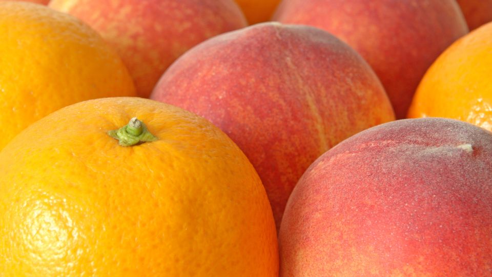 🍑🍊 Peach Orange Yerba Mate: A Bold, Fruity Twist on a Paraguayan Classic - Teko - Yerba Mate