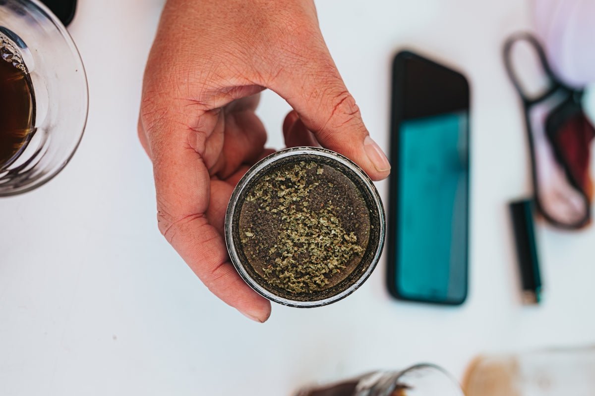 Exploring the Natural Appeal of Yerba Mate for Energy Drink Enthusiasts - Teko - Yerba Mate