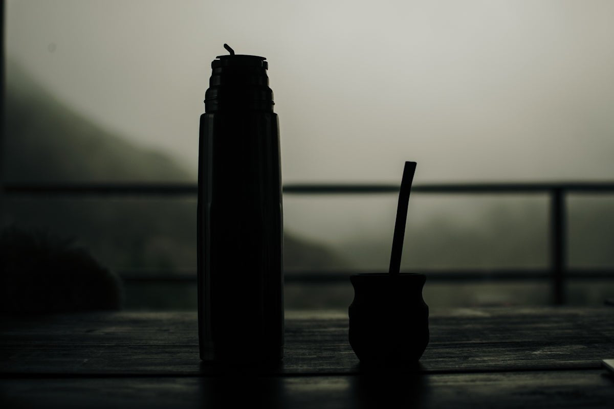 Antioxidant Rich Yerba Mate: A Clean Booster's Dream - Teko - Yerba Mate