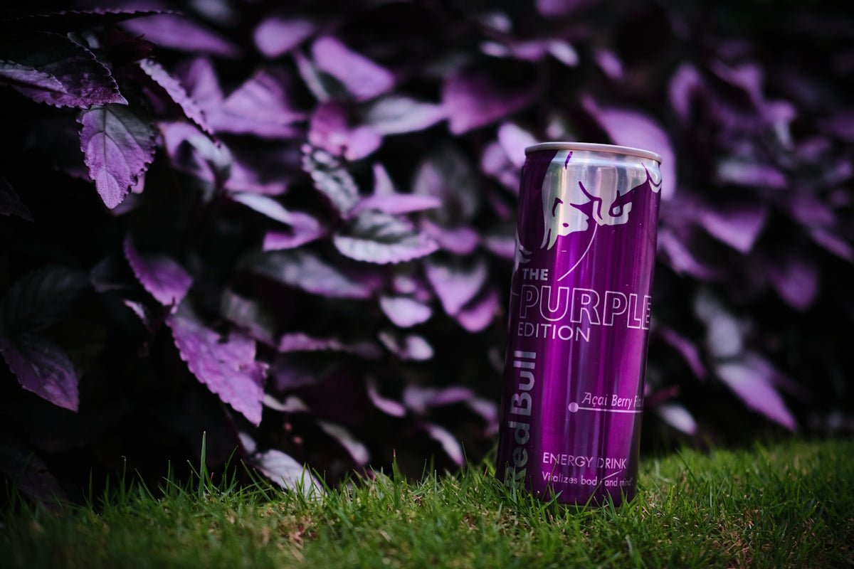 Compare and Choose: The Best Natural Energy Drinks Available - Teko - Yerba Mate