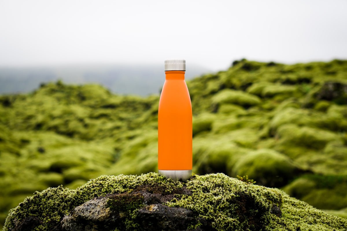 Top 7 Natural Energy Drinks Packed with Antioxidants in Yerba Mate - Teko - Yerba Mate