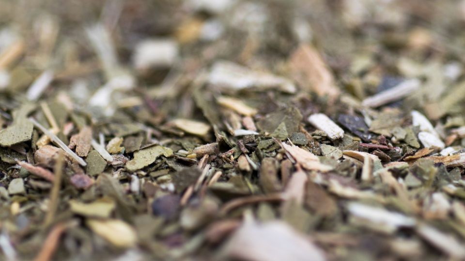 What does Yerba Mate do to Your Body? - Teko - Yerba Mate