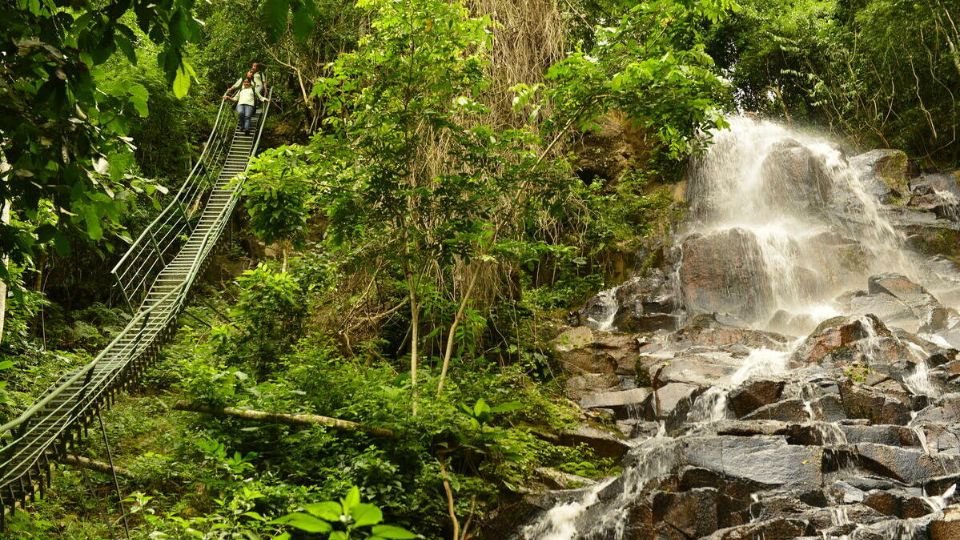 Why Our Organic Yerba Mate from Paraguay Is the Clean Energy You’ve Been Searching For - Teko - Yerba Mate