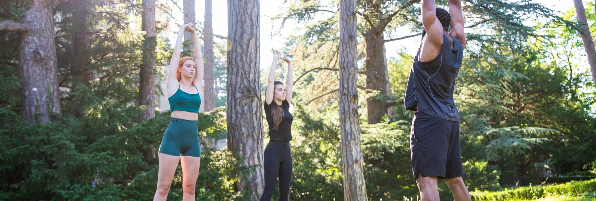 People stretching outdoors surrounded by trees promoting yerba mate balance blend hydration and energy
