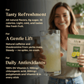 Lemon Balance - Teko - Yerba Mate - Lemon Balance