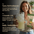 Balance Variety Pack - Teko - Yerba Mate - Balance Variety Pack