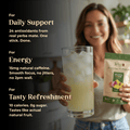 Balance Variety Pack - Teko - Yerba Mate - Balance Variety Pack