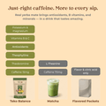 Passion Fruit Balance - Teko - Yerba Mate - Passion Fruit Balance