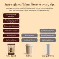 Lemon Boost - Teko - Yerba Mate - Lemon Boost